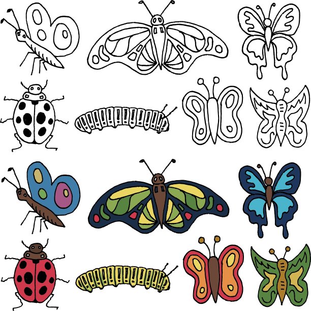 手绘的昆虫图片下载