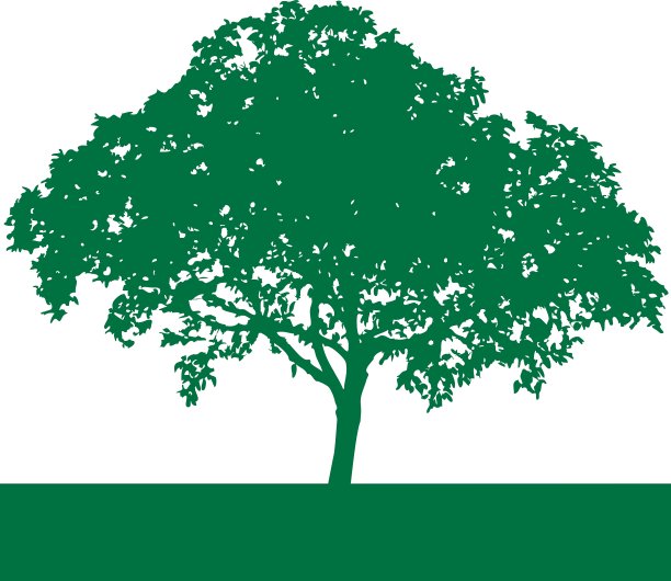 树的轮廓图片下载