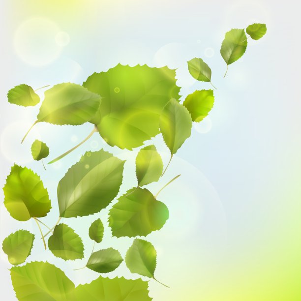 叶的背景图片下载