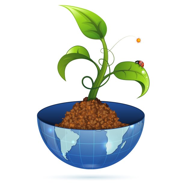 绿色的萌芽图片下载