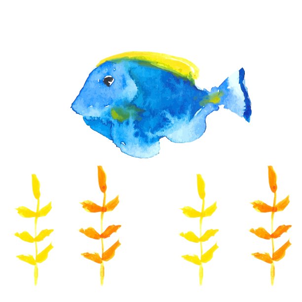 外科医生鱼图片下载