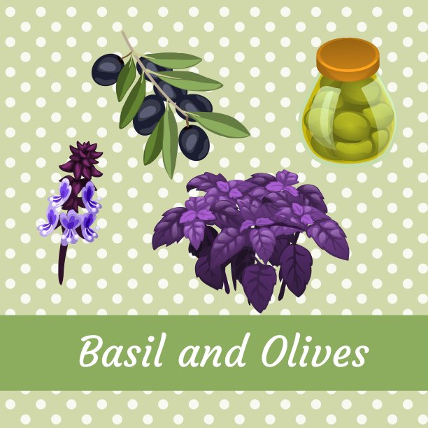罗勒和橄榄的五种组合图片下载