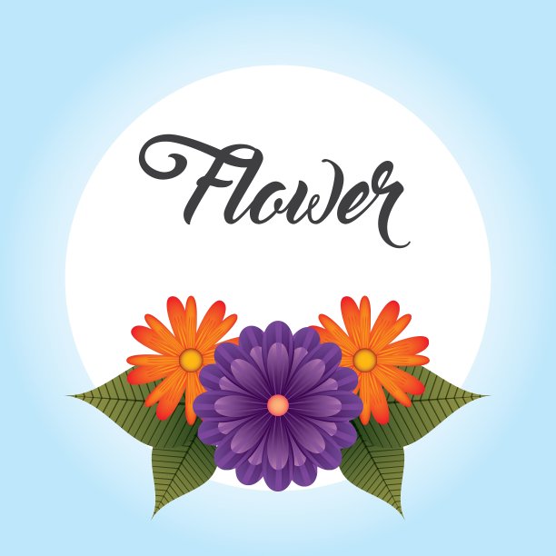 花卉装饰设计图片下载