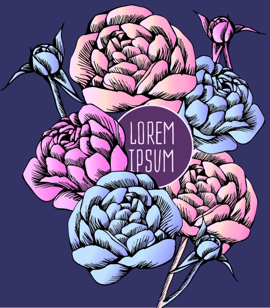 美丽的花卉背景艺术图片下载