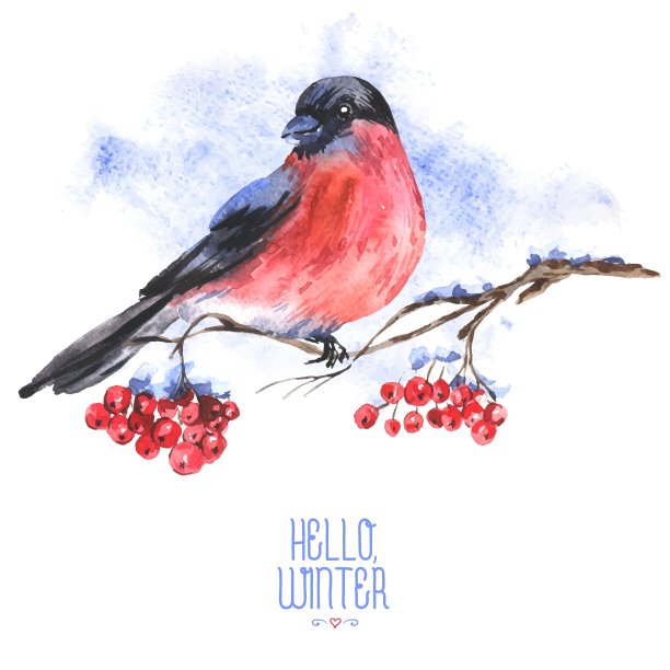 冬季水彩背景与红腹灰雀图片下载