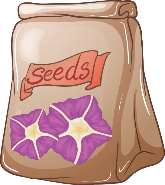 一包花籽图片下载