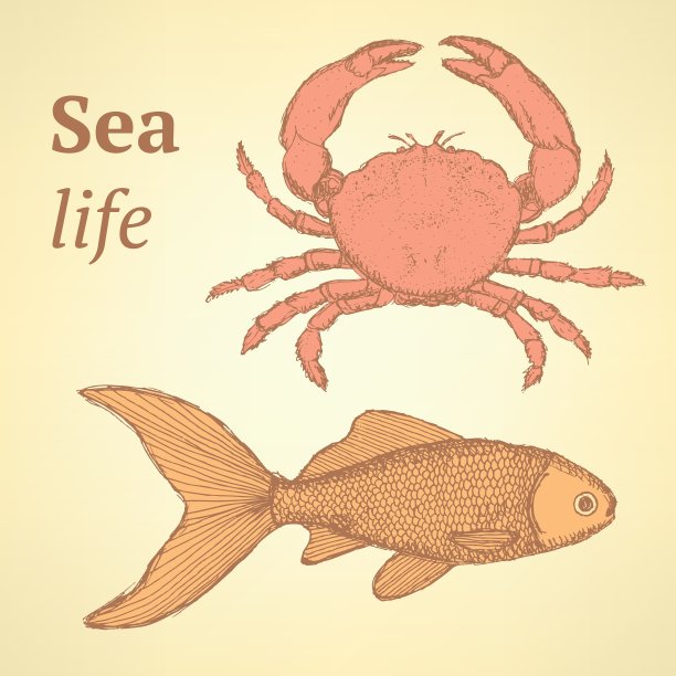 用复古风格画出可爱的螃蟹和鱼图片下载