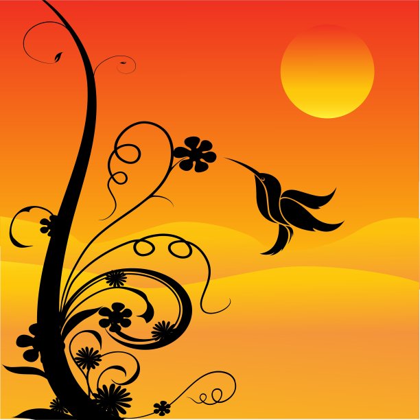 蜂鸟与花图片下载