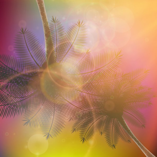 棕榈树和美丽的日落图片下载