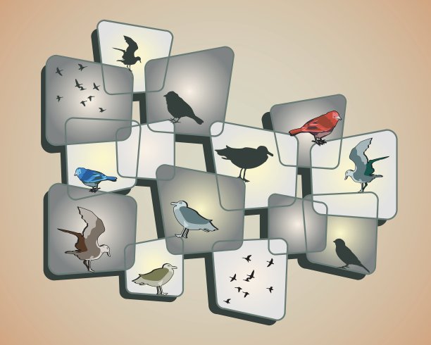 米色背景上的鸟类图片下载