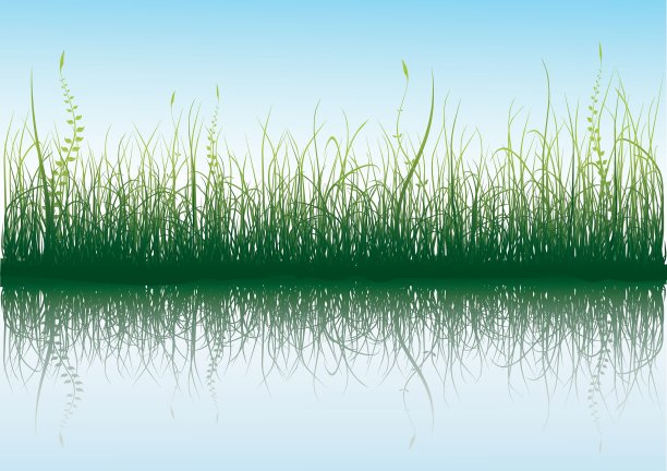 绿草配蓝天图片下载