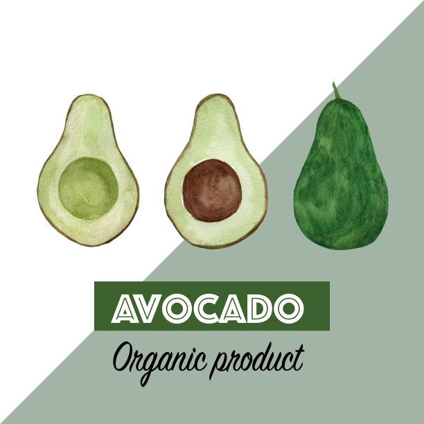 水彩牛油果的创意布局图片下载