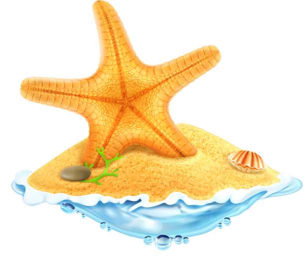 沙子里的海星图片下载