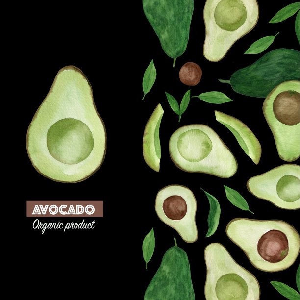 水彩牛油果的创意布局图片下载