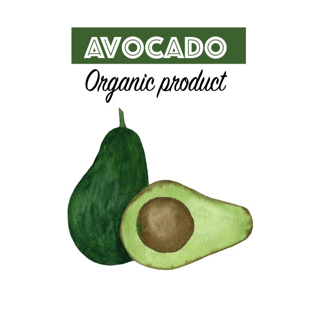 水彩牛油果的创意布局图片下载