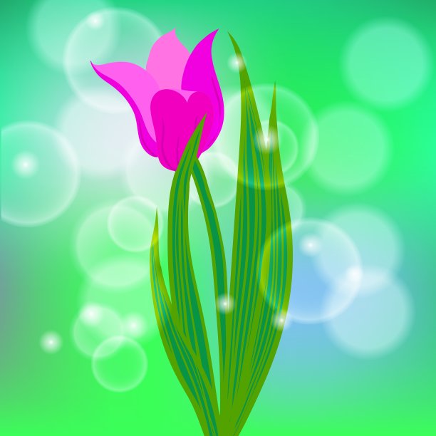 卡片上有红色的郁金香和浅绿色的散花图片下载
