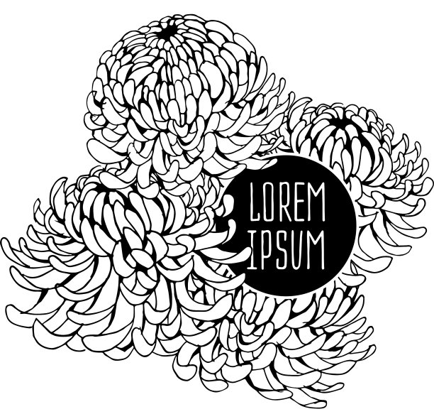 美丽的花卉背景艺术图片下载