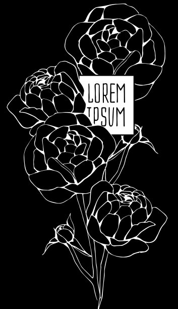 美丽的花卉背景艺术图片下载