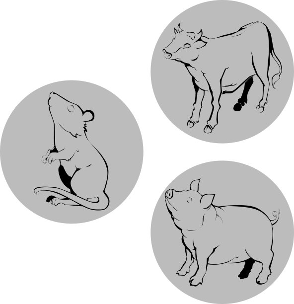 中国生肖牛鼠猪图片下载