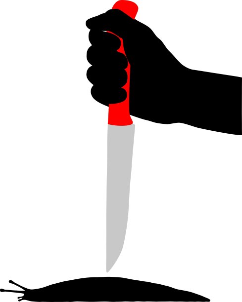 寻找蛞蝓图片下载