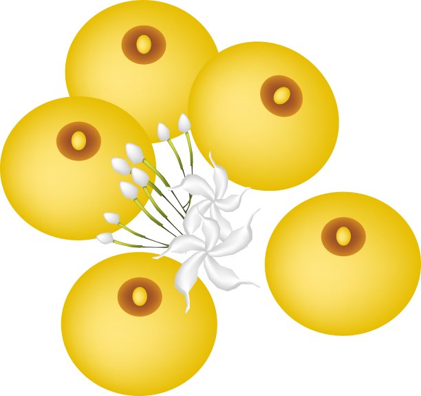 迷人的月亮或米粉饺子图片下载