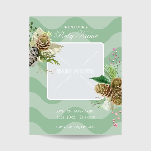 婴儿出生卡与相框-冬季主题图片下载