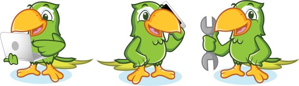 带笔记本电脑的鹦鹉吉祥物图片下载