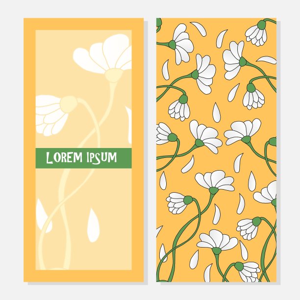 卡片模板用洋甘菊图片下载