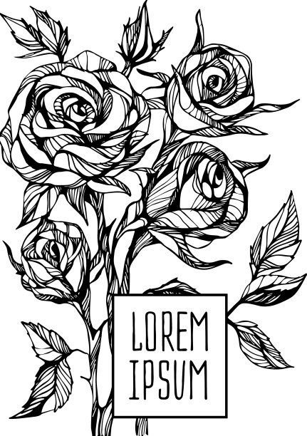 美丽的花卉背景艺术图片下载