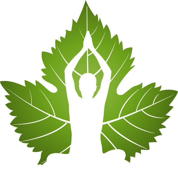 绿叶上的瑜伽标志图片下载