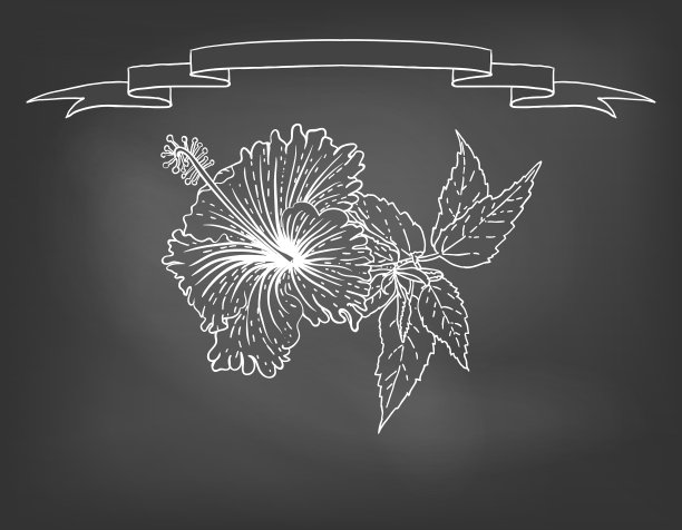 黑板上有木槿花的卡片图片下载