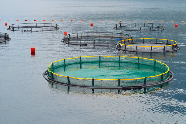在平静的大海中养鱼场图片下载