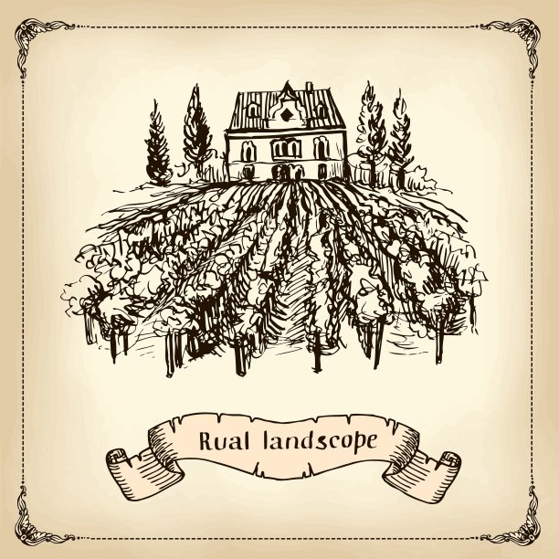 葡萄园景观-手绘图片下载