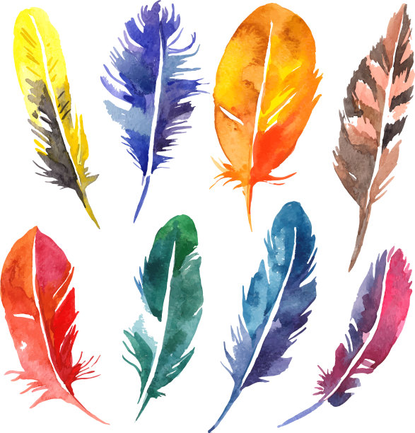 水彩手绘羽毛集图片下载