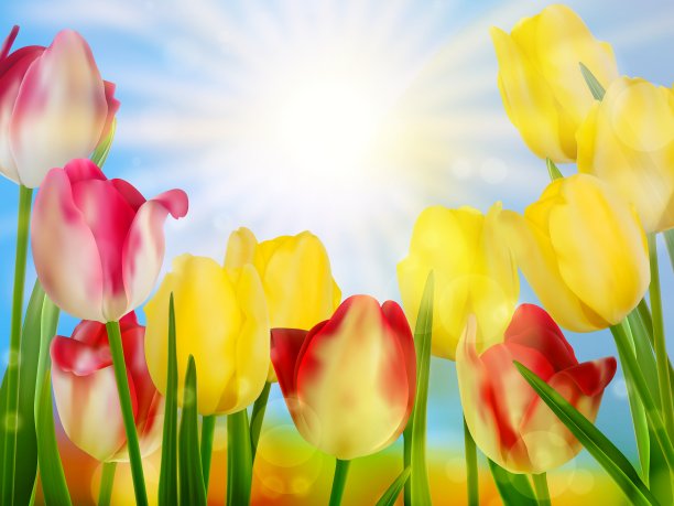 美丽的春花EPS 10图片下载