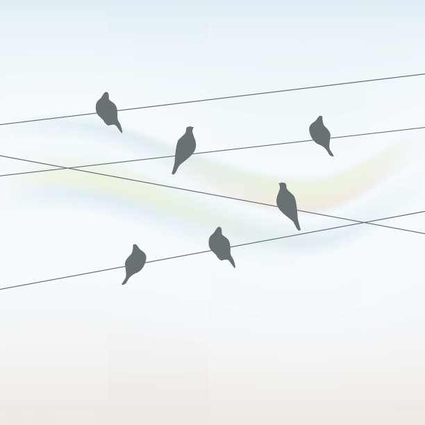 鸟类的背景图片下载