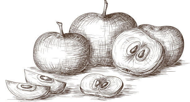 手绘苹果图片下载