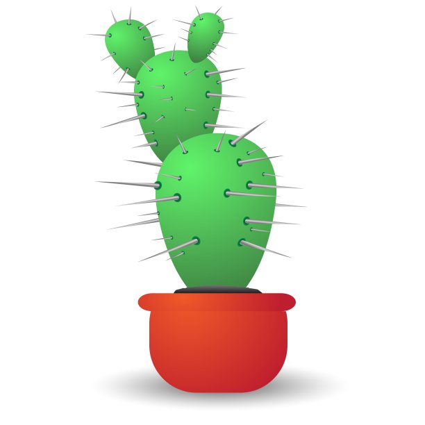 仙人掌图片下载