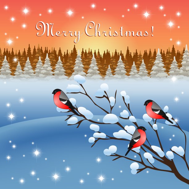 红腹灰雀和冬季图片下载