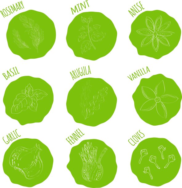 细线香料图标集图片下载