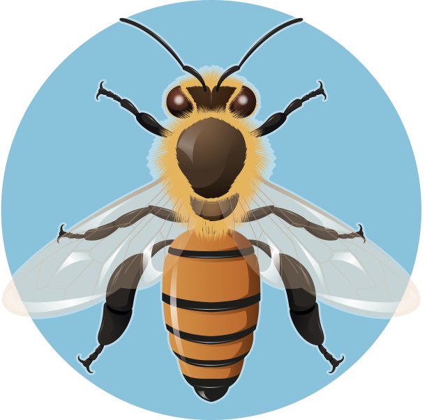 蓝色背景上的蜜蜂图片下载