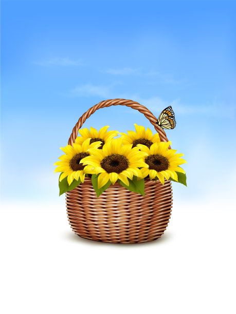 春日的背景篮子里放满了向日葵图片下载