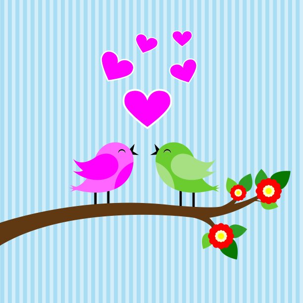 鸟儿在树枝上五彩斑斓图片下载