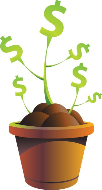 金钱树图片下载