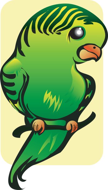 鹦鹉图片下载