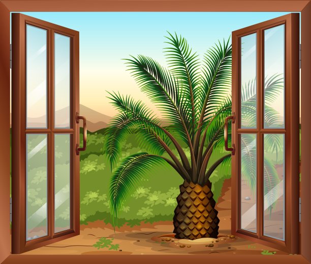 一扇能看到棕榈树的窗户图片下载