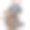 男人握着方向盘的特写图片下载