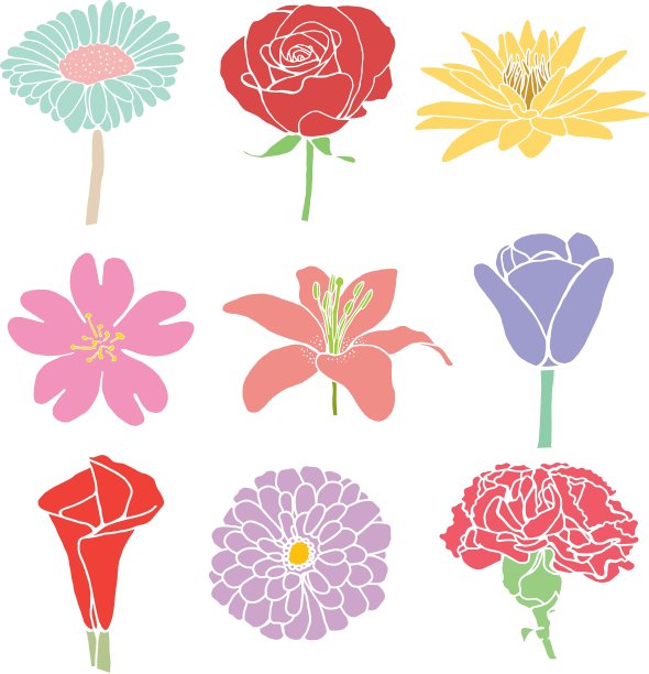 五颜六色的鲜花图片下载