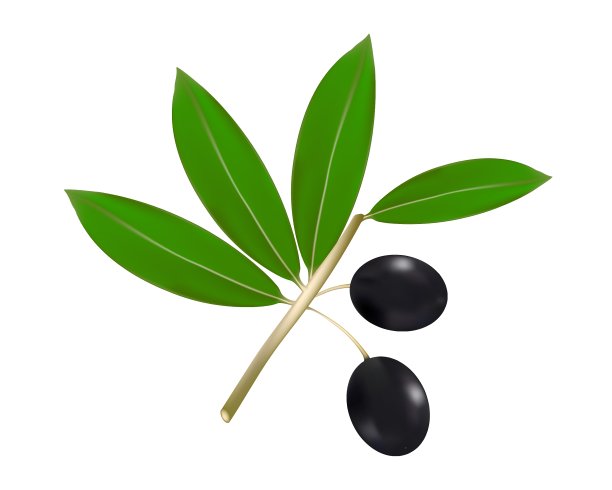 橄榄图片下载