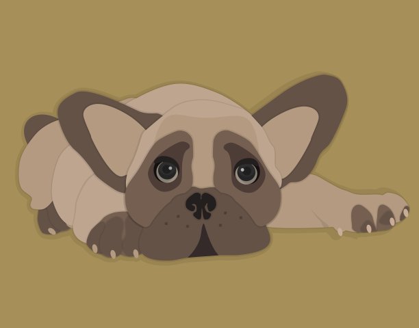 法国斗牛犬隔离图片下载